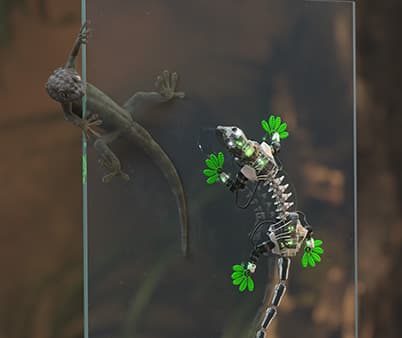 inv