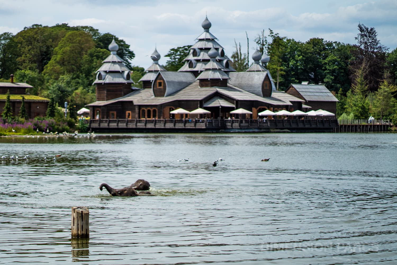 Pairi Daiza : un parc zoologique hors du commun