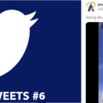 Revue de tweets #6 by Dimension Parcs