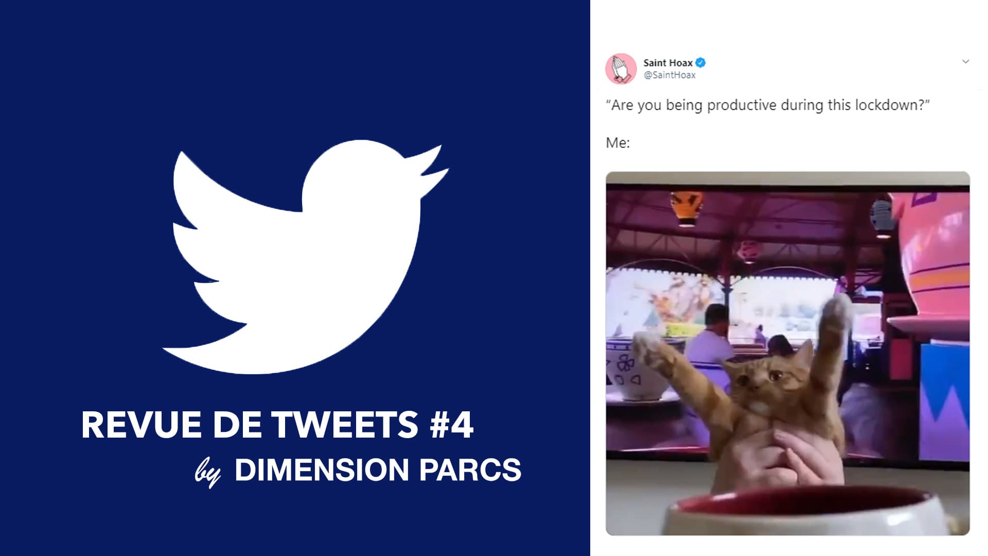 Revue de tweets #4 by Dimension Parcs