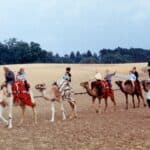 Mer de Sable : retour sur 60 ans d’aventures