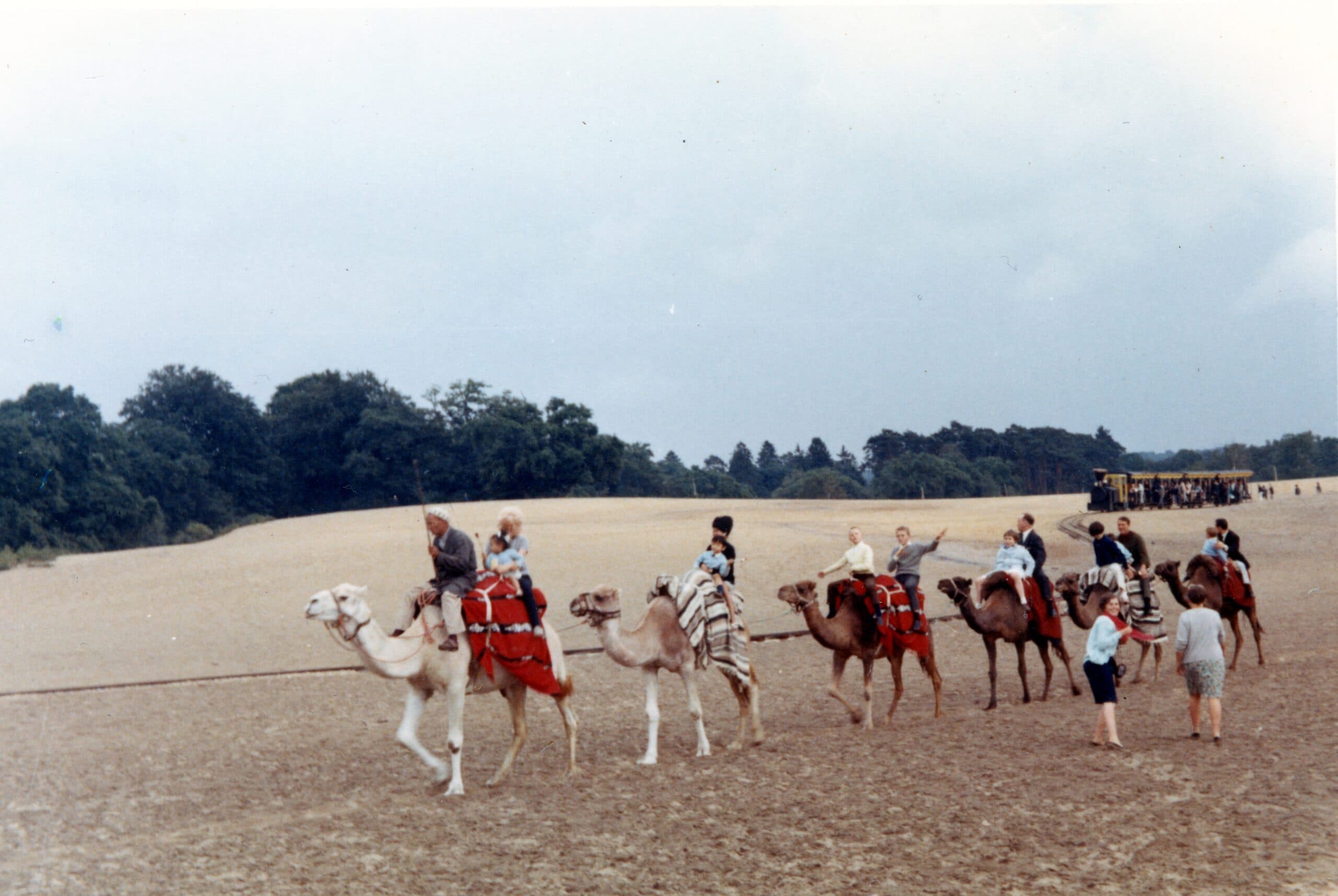 Caravane de chameaux sur la mer de sable