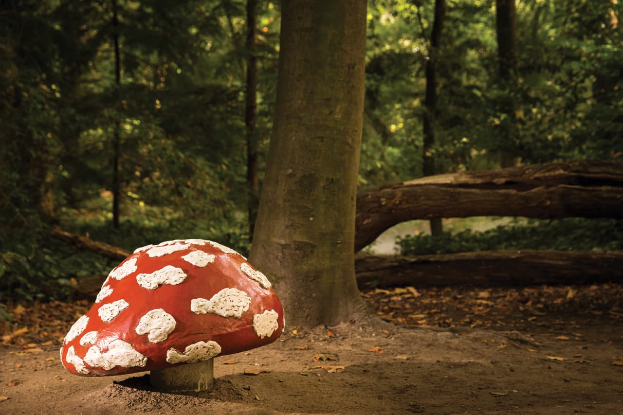 Le Bois des Contes d’Efteling : aux racines de la légende