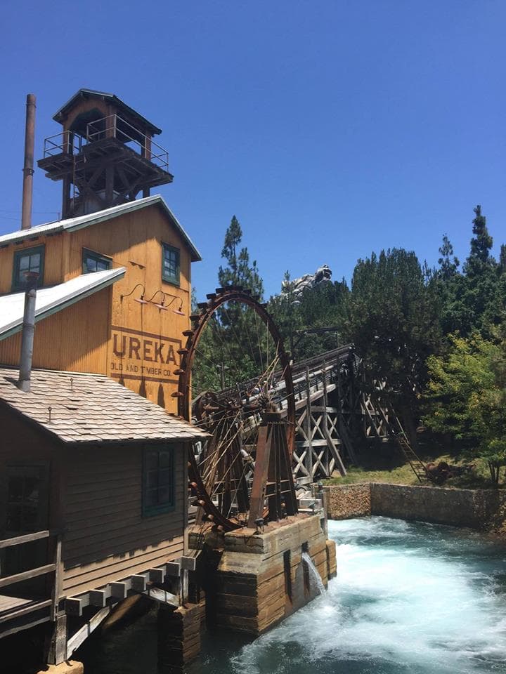 13668970_1441534975873043_340153390452774630_n