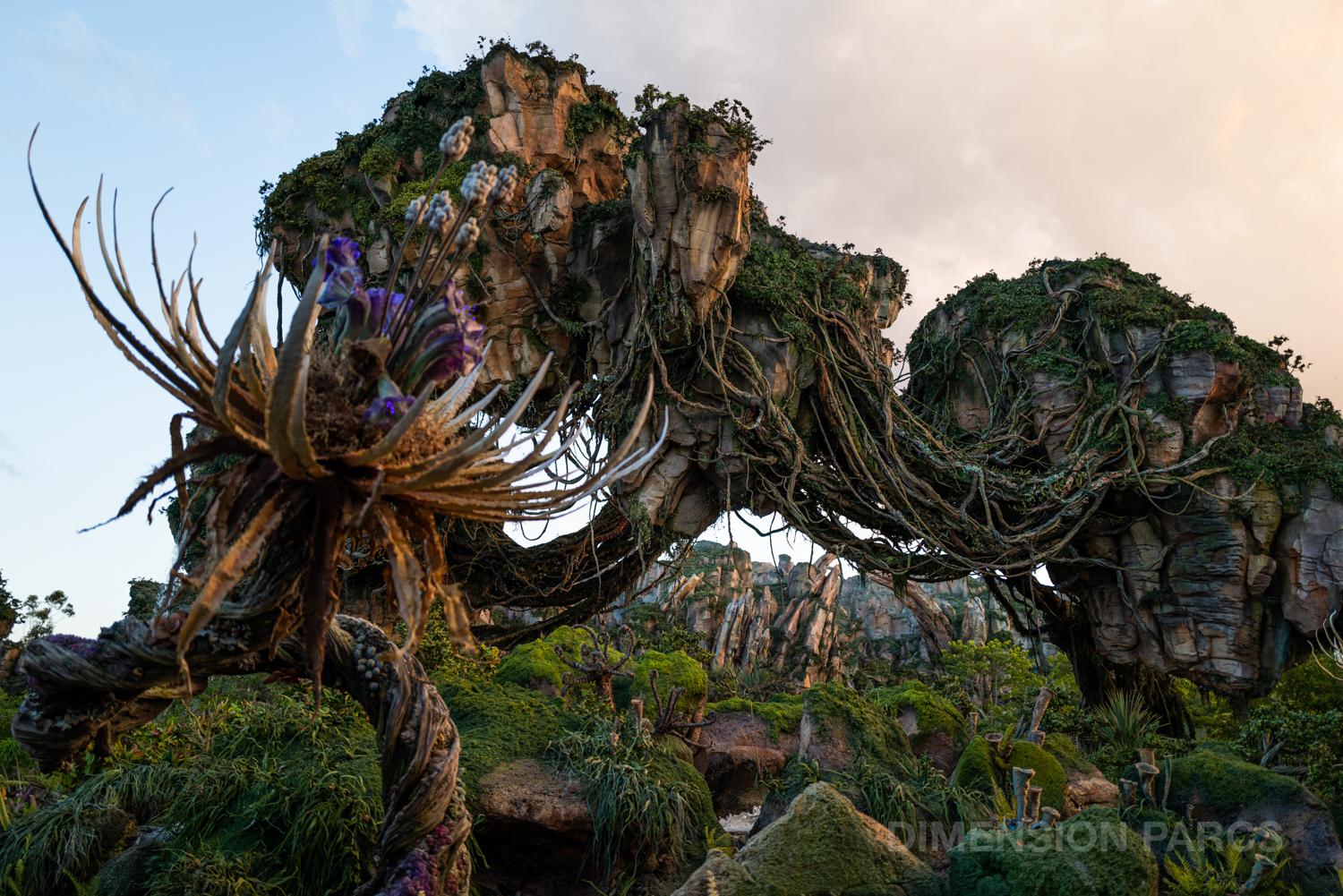 Explorez Pandora – The World of Avatar à Disney’s Animal Kingdom !